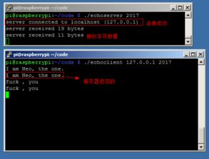 深入理解計算機系統 網絡編程的核心原理與實踐